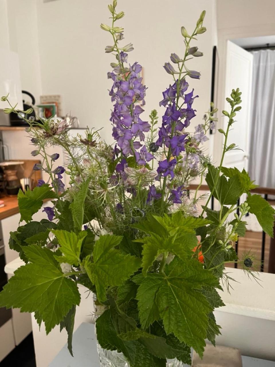 Comme Petite Maison Appartement Paris
